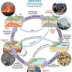 Meet your Posher, Ranger